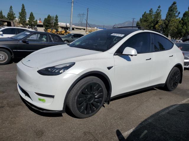 TESLA MODEL Y 2023 with VIN 7SAYGDEE6PA102361 - Photo from auction