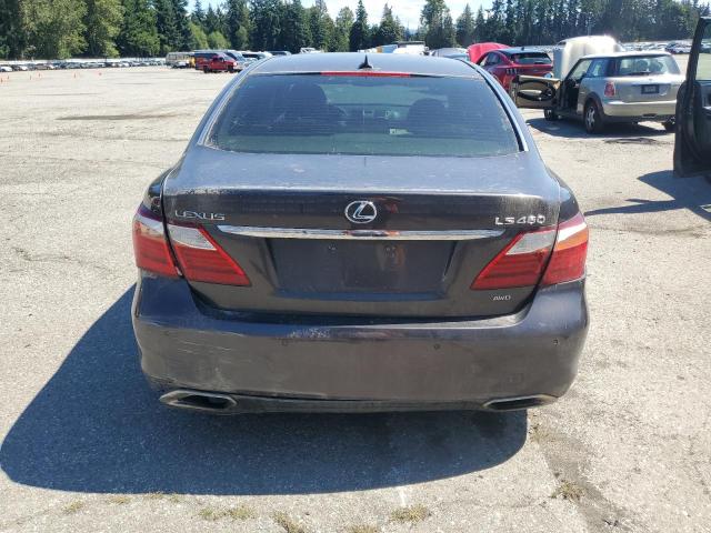 Photo 6 from auction – 2010 LEXUS LS 460 with VIN JTHCL5EF9A5007420