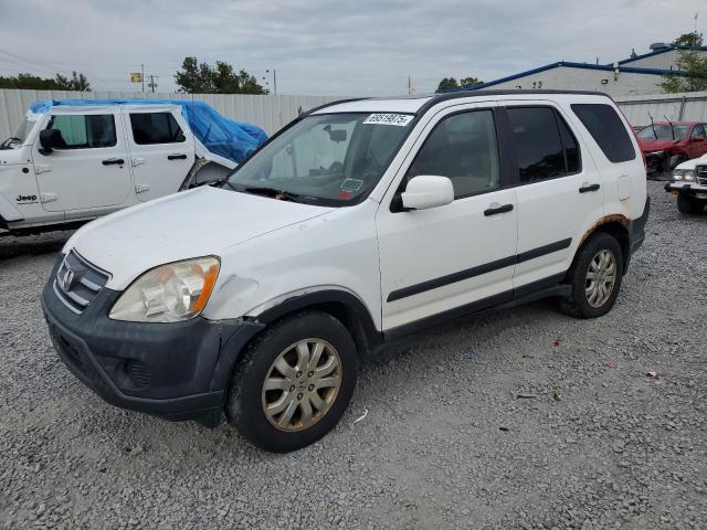 Photo 1 from auction – 2006 HONDA CR-V EX with VIN JHLRD78806C026901