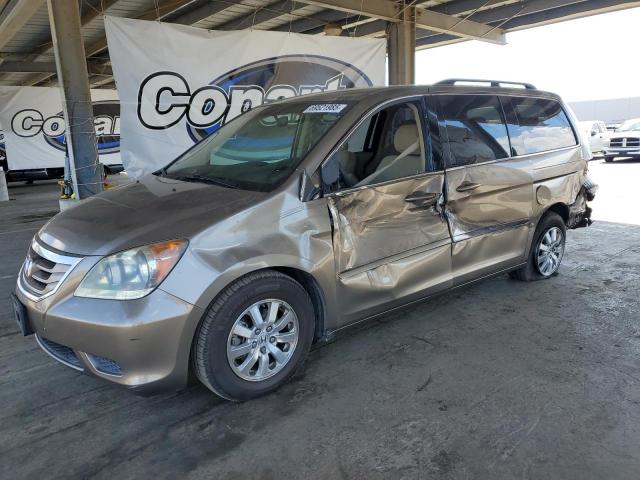 HONDA ODYSSEY EX 2008 with VIN 5FNRL38428B032324 - Photo from auction