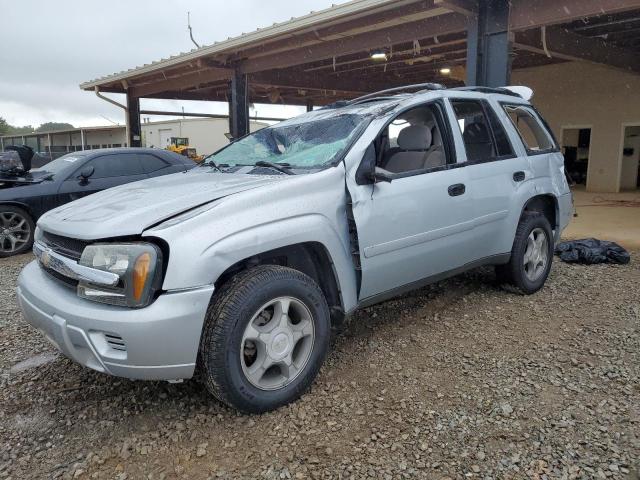 CHEVROLET TRAILBLAZE 2007 with VIN 1GNDS13S872139331 - Photo from auction