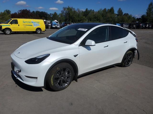 TESLA MODEL Y 2025 con VIN 7SAYGDED7SF227873 - Foto de la subasta