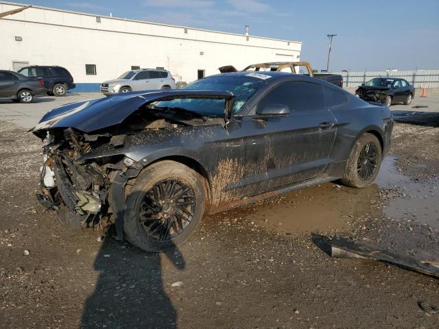 Photo 1 from auction – 2017 FORD MUSTANG with VIN 1FA6P8TH7H5275701