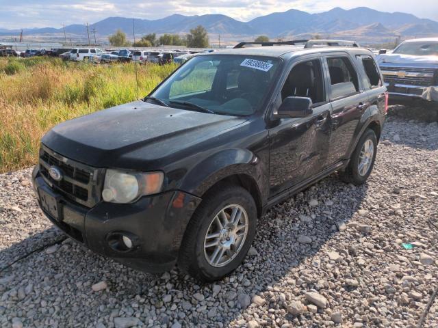 FORD ESCAPE XLT 2010 with VIN 1FMCU9DG8AKA80100 - Photo from auction