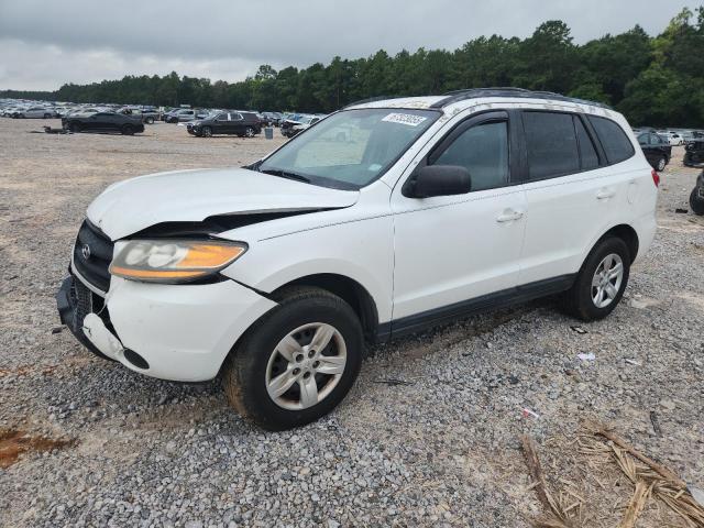 HYUNDAI SANTA FE GLS 2009 with VIN 5NMSG13D09H271775 - Photo from auction