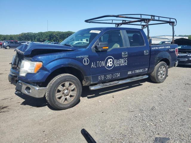 FORD F150 SUPER 2010 with VIN 1FTEW1E81AFA16893 - Photo from auction