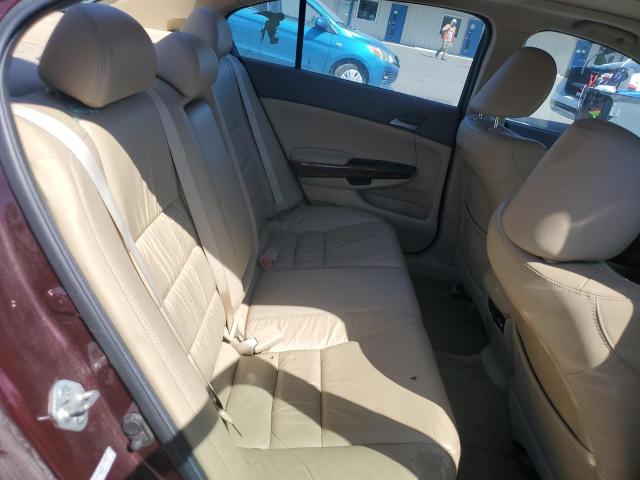 Photo 10 from auction – 2010 HONDA ACCORD EXL with VIN 5KBCP3F86AB017011