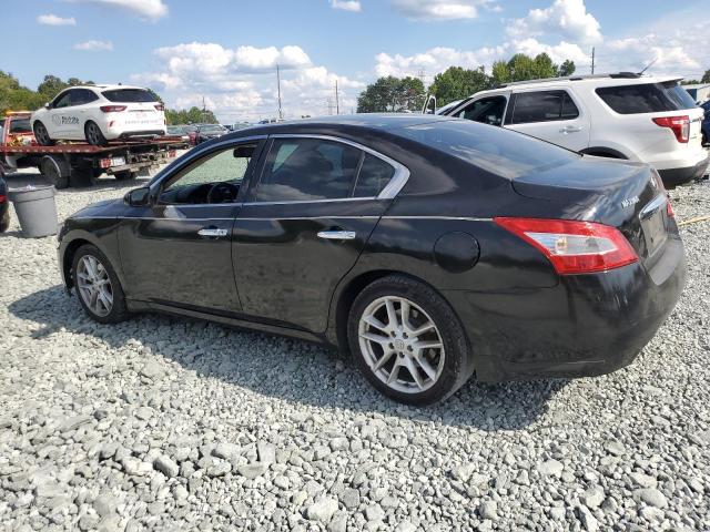 Photo 2 from auction – 2009 NISSAN MAXIMA S with VIN 1N4AA51EX9C827563