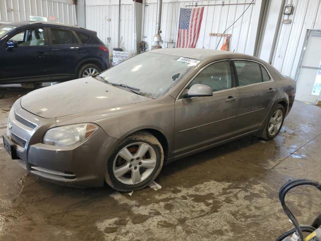 CHEVROLET MALIBU 2LT 2011 with VIN 1G1ZD5E19BF239534 - Photo from auction