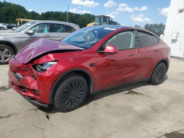 TESLA MODEL Y 2024 with VIN 7SAYGDEE9RF161880 - Photo from auction