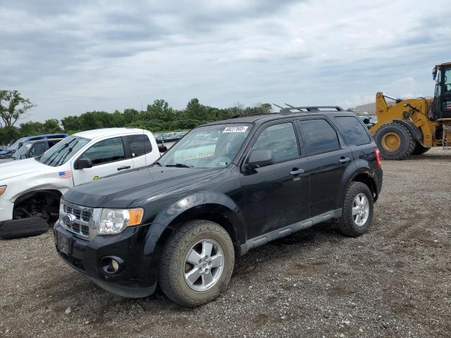 FORD ESCAPE XLT 2011 with VIN 1FMCU9DG2BKA62127 - Photo from auction
