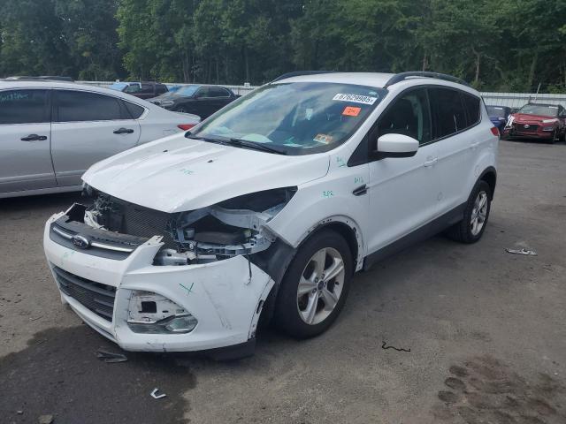 FORD ESCAPE SE 2014 with VIN 1FMCU0G9XEUA73491 - Photo from auction