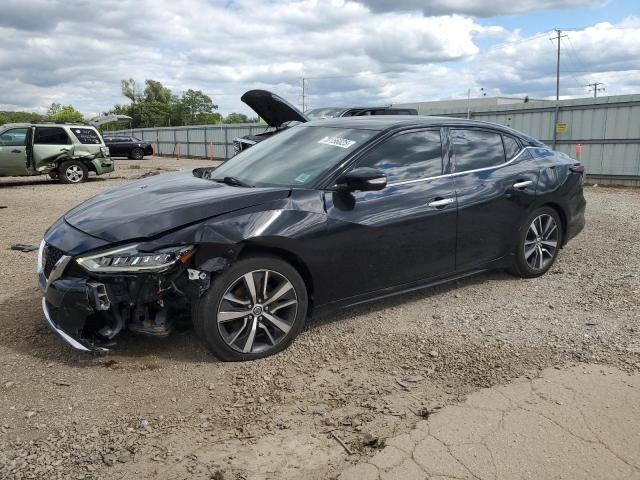 NISSAN MAXIMA SV 2020 with VIN 1N4AA6CV0LC364262 - Photo from auction