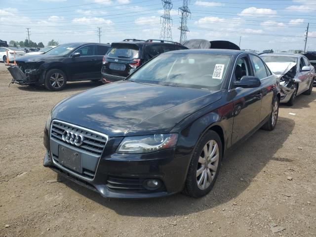 AUDI A4 PREMIUM 2010 with VIN WAUFFAFL7AN034521 - Photo from auction