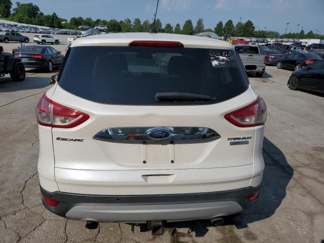 Photo 6 from auction – 2014 FORD ESCAPE TIT with VIN 1FMCU0J96EUA92953