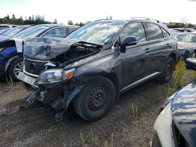 LEXUS RX 350 2010 with VIN JTJBK1BA8A2406870 - Photo from auction