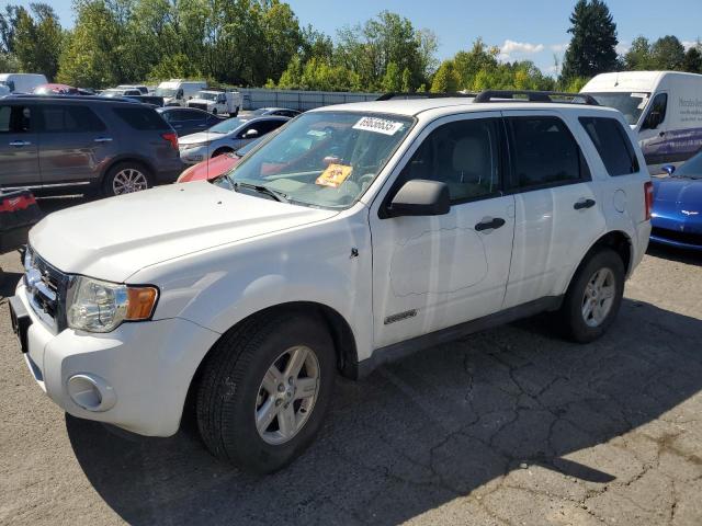 Photo 1 from auction – 2008 FORD ESCAPE HEV with VIN 1FMCU59H68KA50565