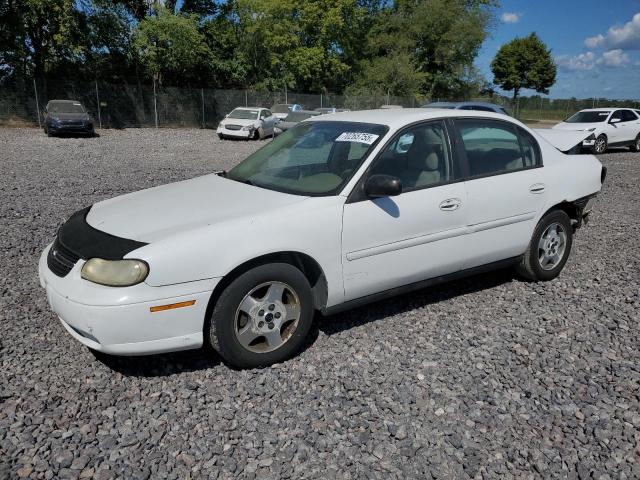 Photo 1 from auction – 2004 CHEVROLET CLASSIC with VIN 1G1ND52F14M572419