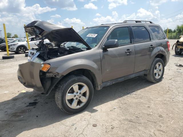 Фото 1 с аукциона – 2012 FORD ESCAPE XLT с VIN 1FMCU0D74CKC63511