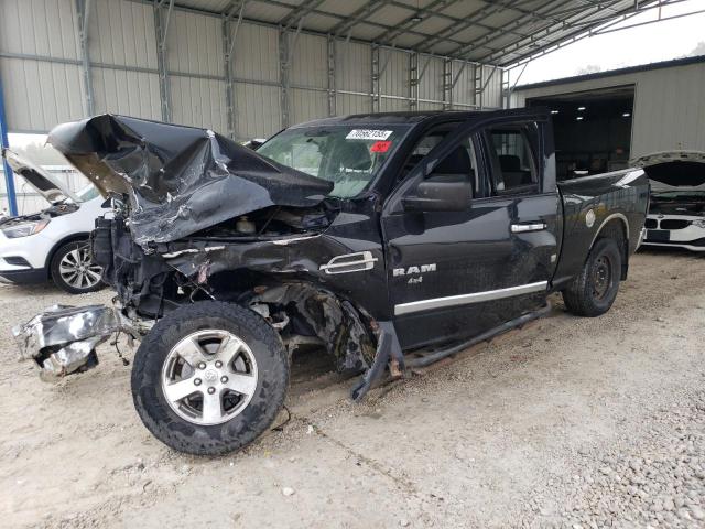 DODGE RAM 1500 2009 with VIN 1D3HV18P59S776631 - Photo from auction
