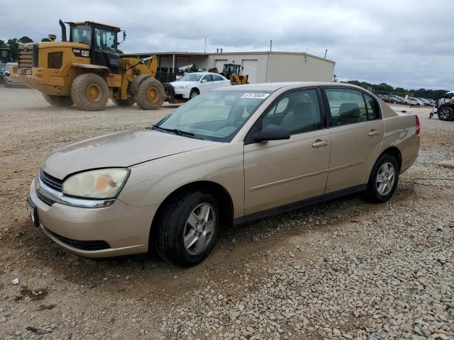 CHEVROLET MALIBU LS 2005 with VIN 1G1ZT52875F230811 - Photo from auction