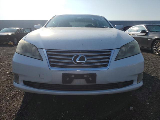 Photo 5 from auction – 2010 LEXUS ES 350 with VIN JTHBK1EG9A2410380