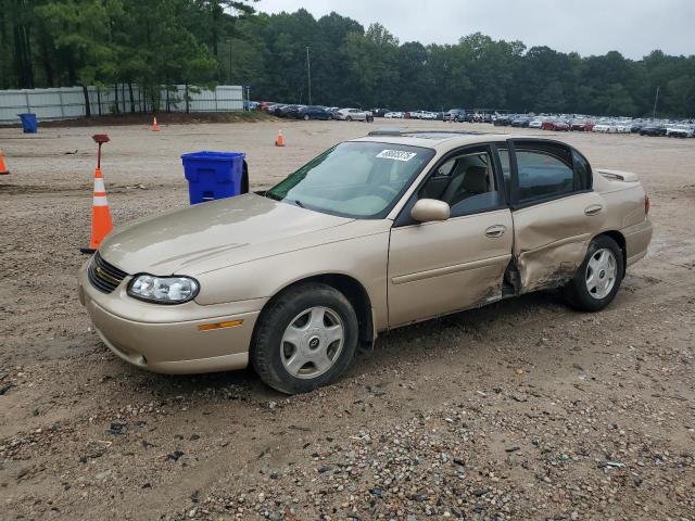 CHEVROLET MALIBU LS 2001 with VIN 1G1NE52J516158903 - Photo from auction