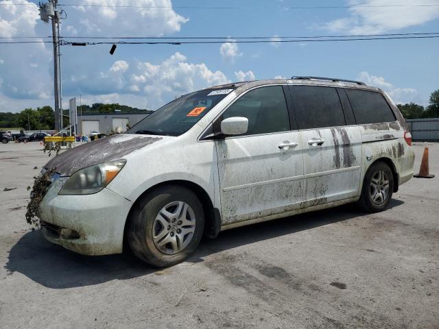 HONDA ODYSSEY 2006 with VIN 5FNRL38666B430182 - Photo from auction