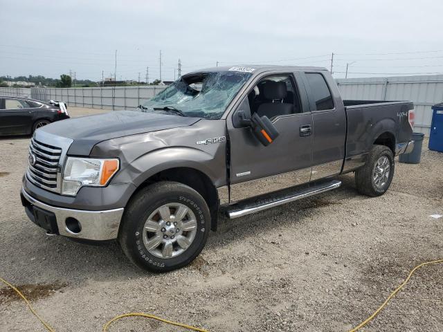 FORD F150 SUPER 2012 with VIN 1FTFX1ET2CFB70067 - Photo from auction
