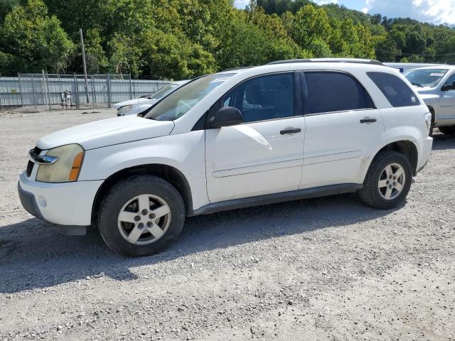 CHEVROLET EQUINOX LS 2005 with VIN 2CNDL23F756102720 - Photo from auction