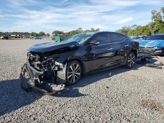 NISSAN MAXIMA SV 2021 with VIN 1N4AA6CV8MC507296 - Photo from auction
