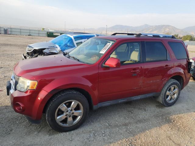 Photo 1 from auction – 2009 FORD ESCAPE LIM with VIN 1FMCU94G09KB13067
