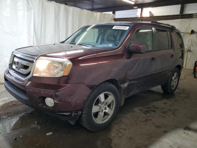 HONDA PILOT EXL 2010 with VIN 5FNYF4H57AB005529 - Photo from auction