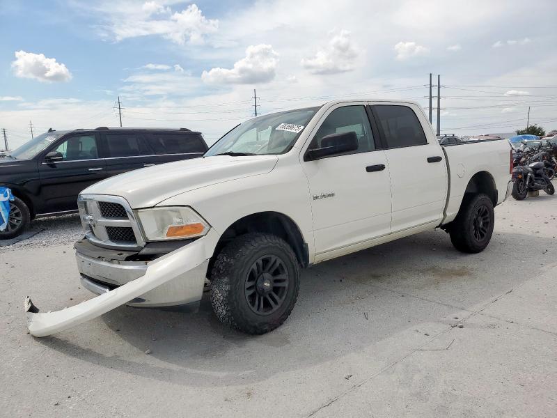 DODGE RAM 1500 2009 with VIN 1D3HV13P59S738985 - Photo from auction