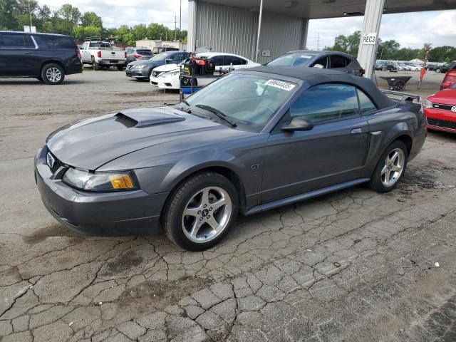 FORD MUSTANG GT 2003 with VIN 1FAFP45X73F381050 - Photo from auction