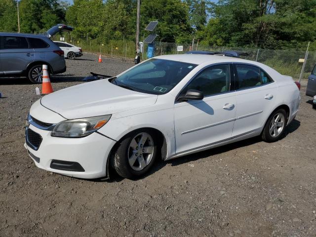 CHEVROLET MALIBU 2014 with VIN 1G11B5SL7EF168525 - Photo from auction