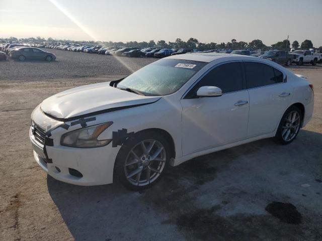 NISSAN MAXIMA S 2011 with VIN 1N4AA5AP8BC834213 - Photo from auction