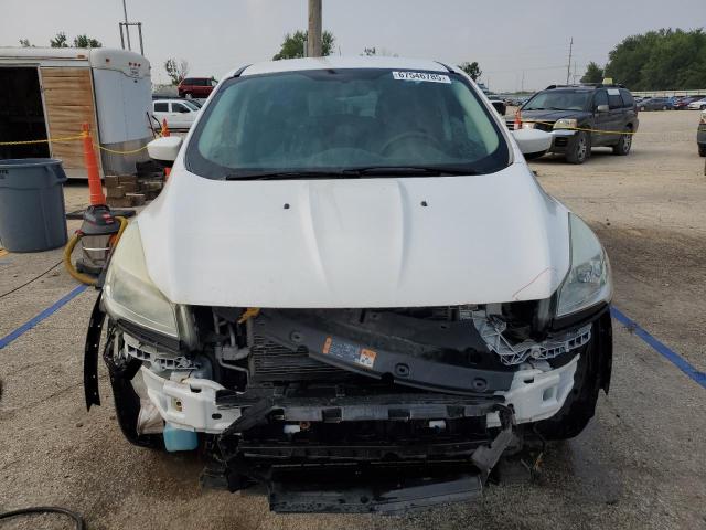 Photo 5 from auction – 2014 FORD ESCAPE SE with VIN 1FMCU0GX4EUE50508