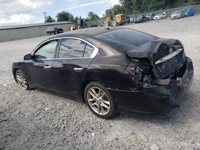 Photo 2 from auction – 2010 NISSAN MAXIMA S with VIN 1N4AA5AP3AC839558