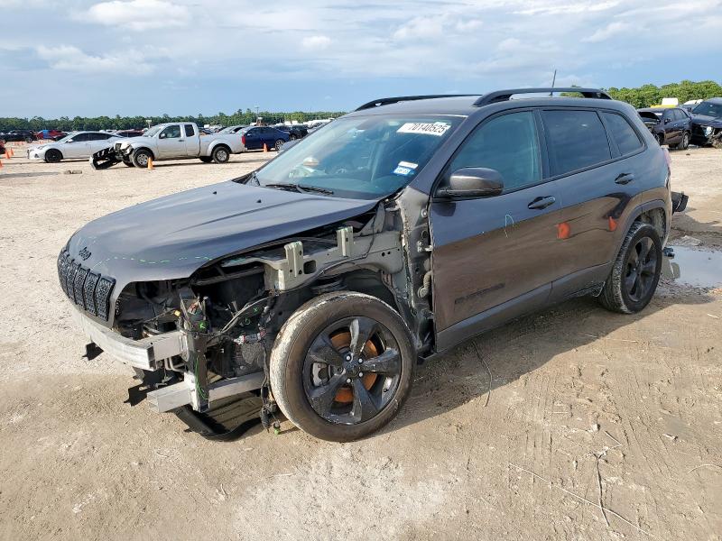 JEEP CHEROKEE L 2019 with VIN 1C4PJLLB6KD405320 - Photo from auction