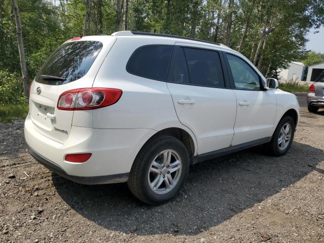Photo 3 from auction – 2010 HYUNDAI SANTA FE G with VIN 5NMSG3ABXAH410098