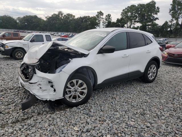 FORD ESCAPE ACTIVE 2024 with VIN 1FMCU0GN7RUA56795 - Photo from auction