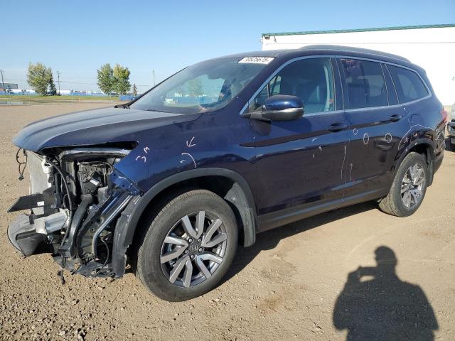 HONDA PILOT BLAC 2021 with VIN 5FNYF6H78MB507161 - Photo from auction