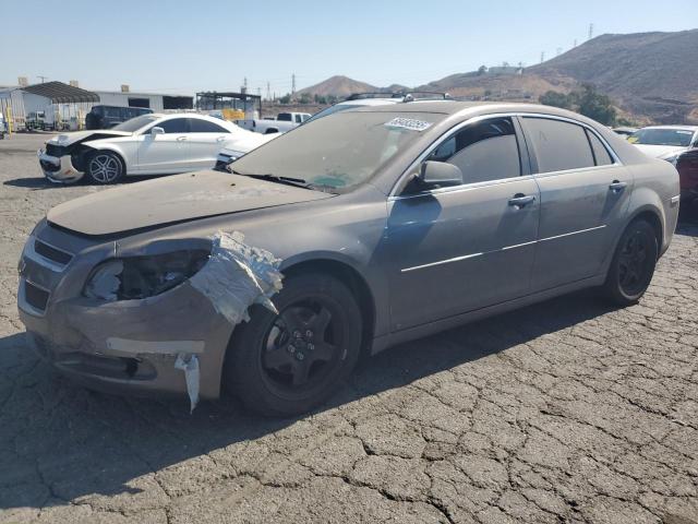 CHEVROLET MALIBU LS 2010 with VIN 1G1ZB5EB3A4109905 - Photo from auction