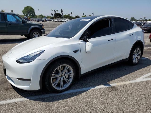 TESLA MODEL Y 2023 with VIN 7SAYGDEE5PF602269 - Photo from auction