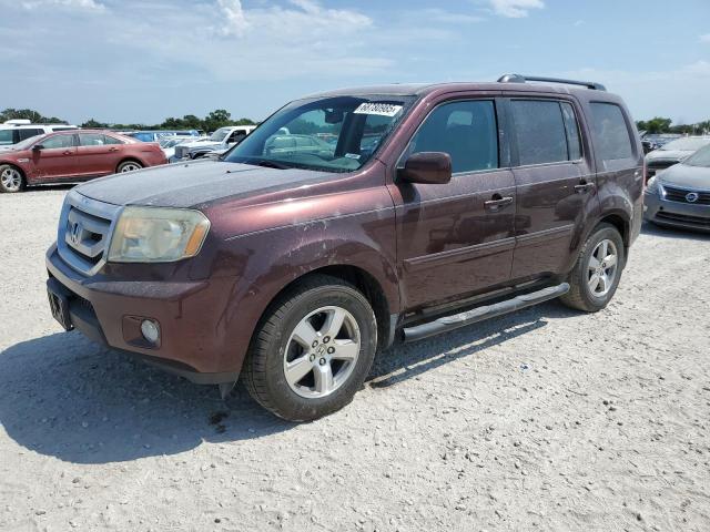 HONDA PILOT EXL 2009 with VIN 5FNYF48619B038577 - Photo from auction