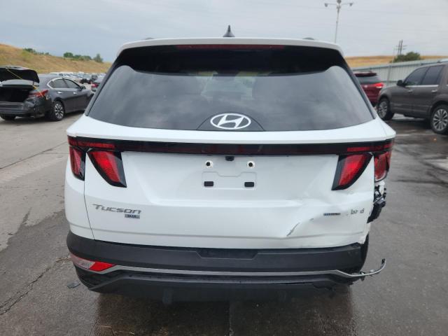 Photo 6 from auction – 2024 HYUNDAI TUCSON BLU with VIN KM8JBCD17RU233099
