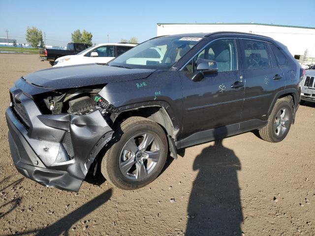 Photo 1 from auction – 2024 TOYOTA RAV4 LE with VIN 2T3BWRFV2RW192688