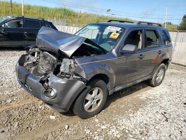 Photo 1 from auction – 2010 FORD ESCAPE XLT with VIN 1FMCU0D77AKC14719