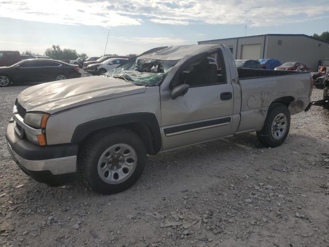 CHEVROLET SILVERADO 2005 with VIN 1GCEC14X75Z302382 - Photo from auction